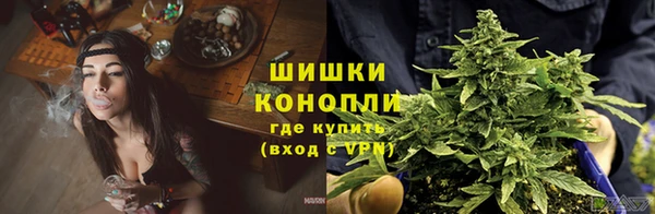 спайс Белая Холуница