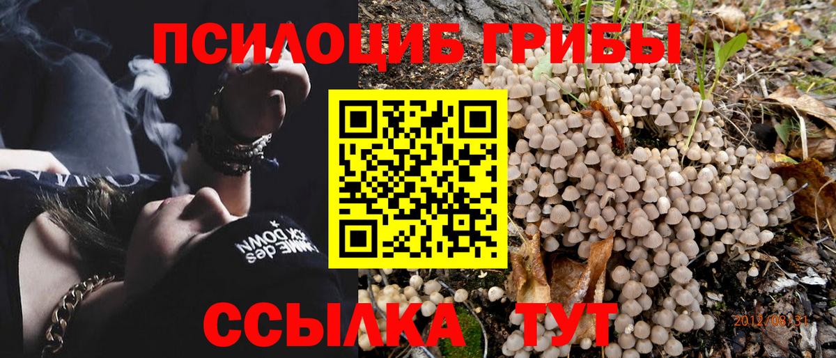 Галлюциногенные грибы Magic Shrooms  Вход с VPN  как найти закладки  Карталы 